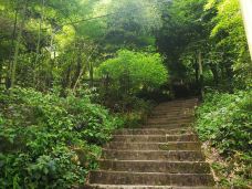 綦江古剑山风景区-重庆-噼里啪啦