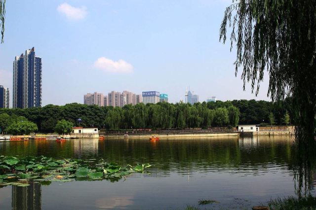 后襄河公园旅行图片 2