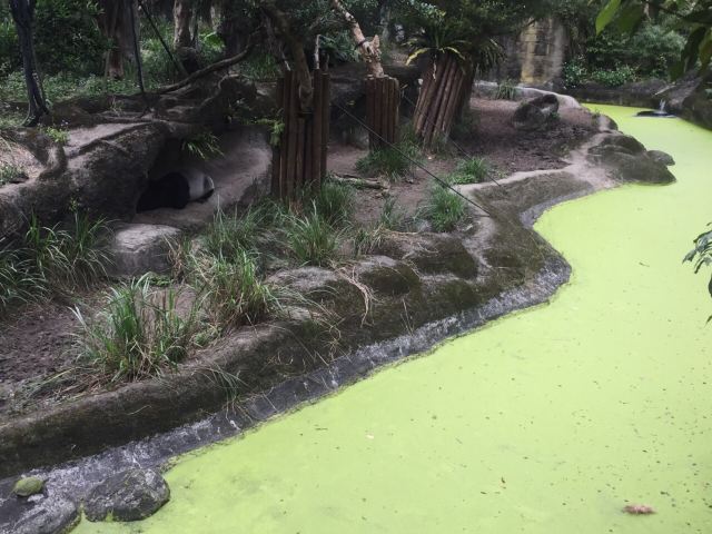 Taipei Zoo