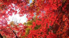 林州天平山风景区-林州-貓貓達