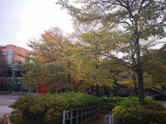 Taiwan University