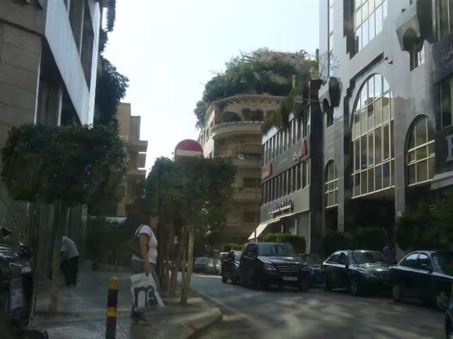 Sanayeh Garden
