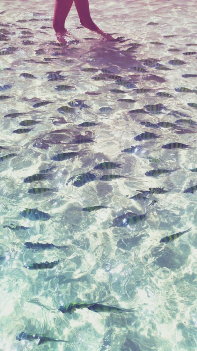 Koh Khai Nok