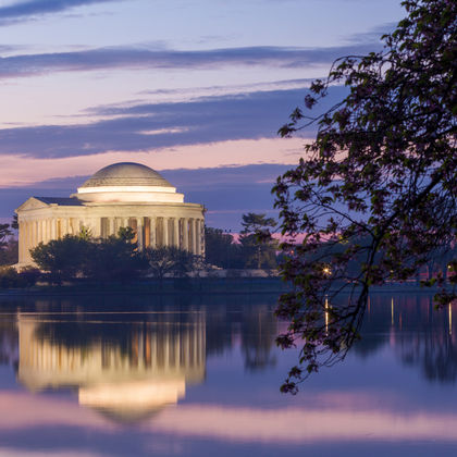美国华盛顿+潮汐湖+杰斐逊纪念堂+美国国家植物园一日游
