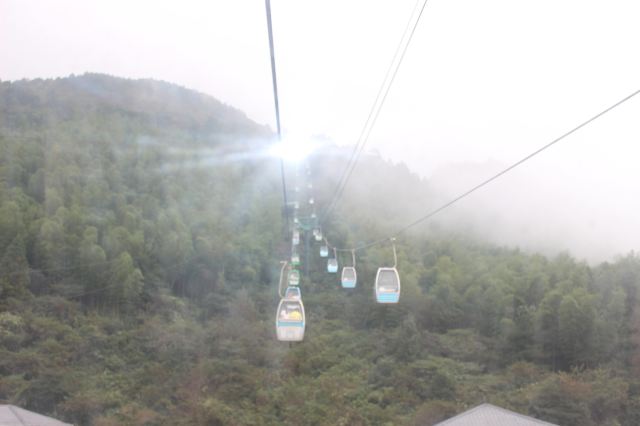 금뇨산