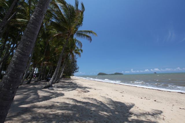 Palm Cove