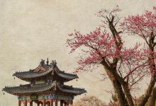 南京旅游图片-穿越时光遇见金陵，2日探访文艺南京