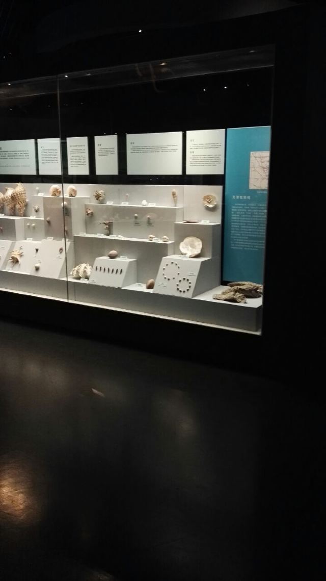Tianjin Natural History Museum