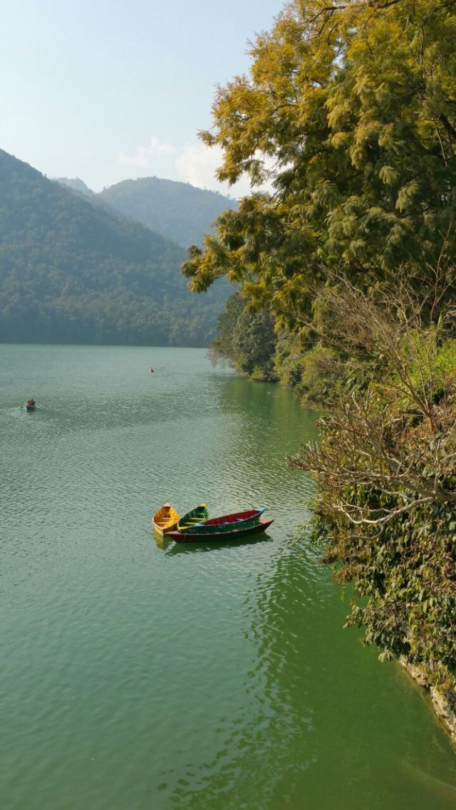 Phewa Lake