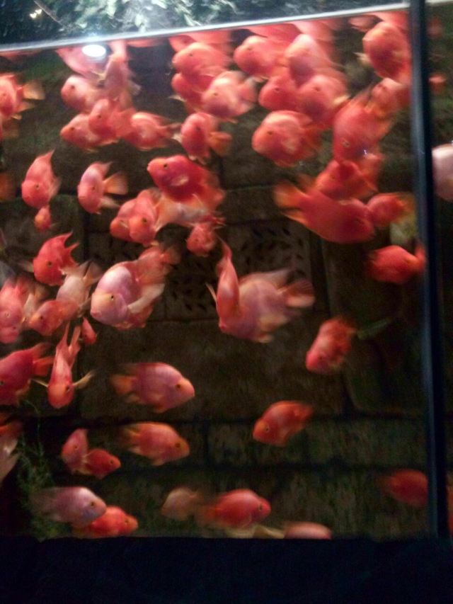 Beijing Zoo