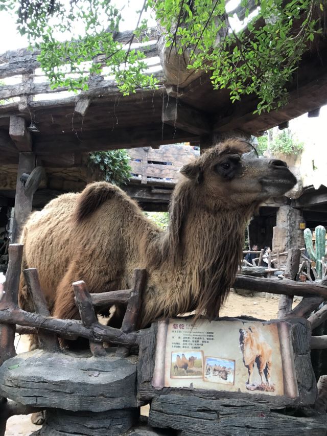 Chuanlord Tourism & Leisure Expo Garden
