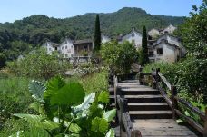 雁南飞茶田景区-桥溪古韵-梅州-懟懟