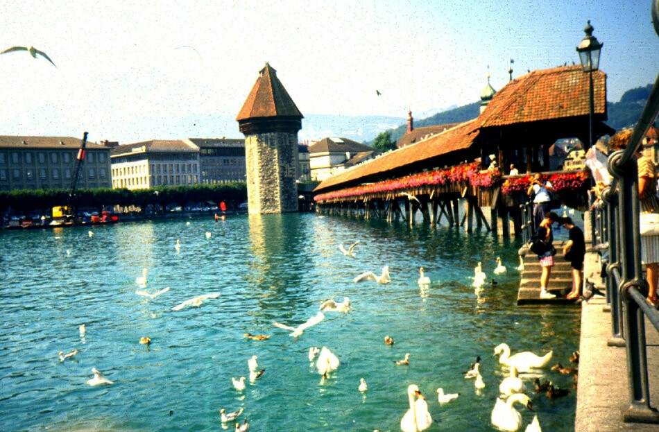 1990年与瑞士相遇(图) 瑞士，这个最美丽和富裕的小国是每个旅行者心目中的必到之地。 27年前首次