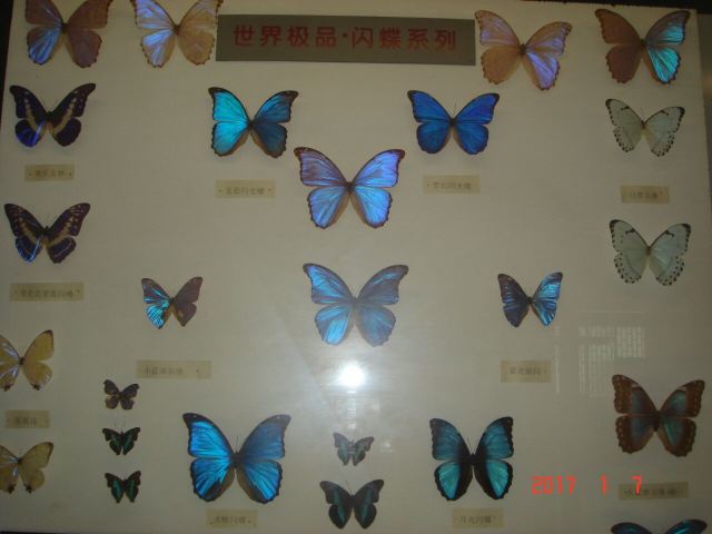 Huantai Museum