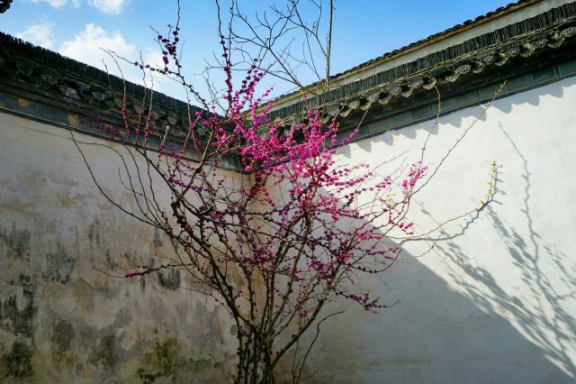 Bao's Garden of Tangyue Arch Group