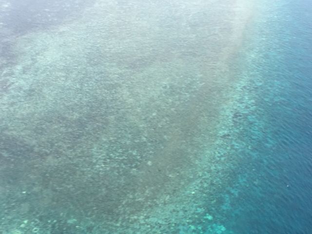 Green Island