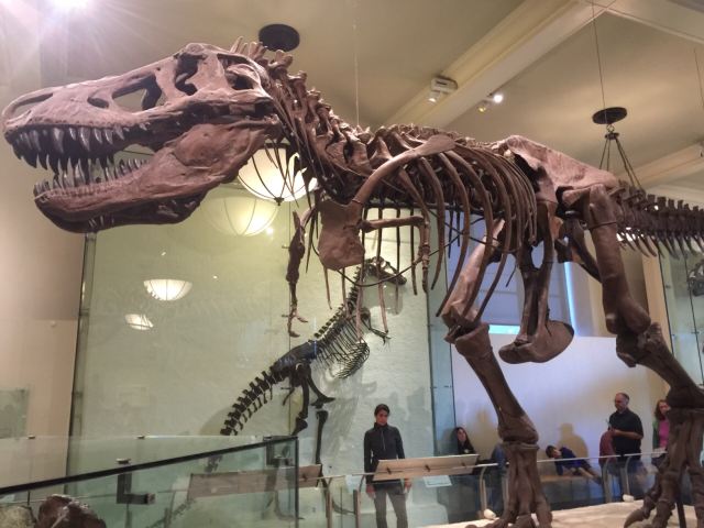 American Museum of Natural History