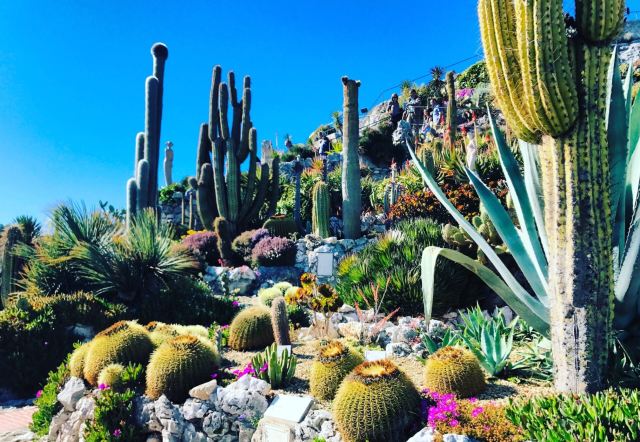 Jardin Exotique Eze