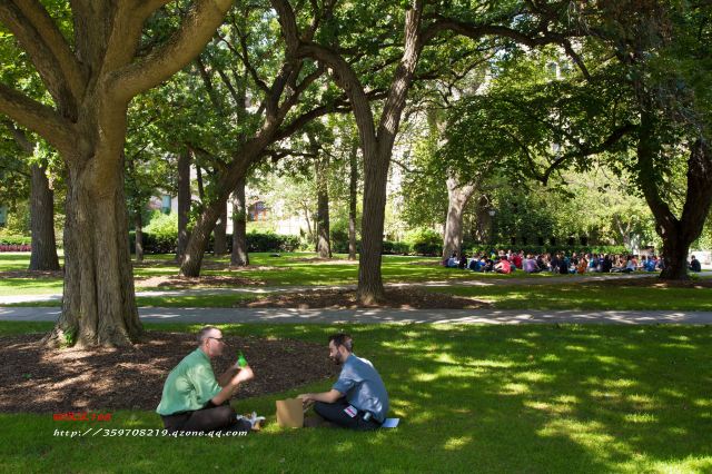 The University of Chicago