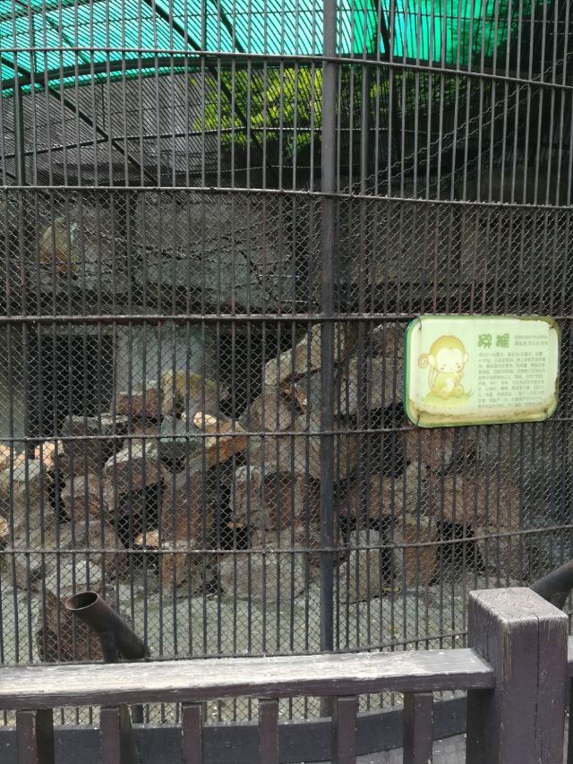 Heping Park