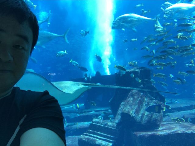 Dolphin Bay