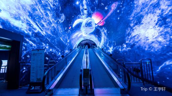 Grandview Aquarium