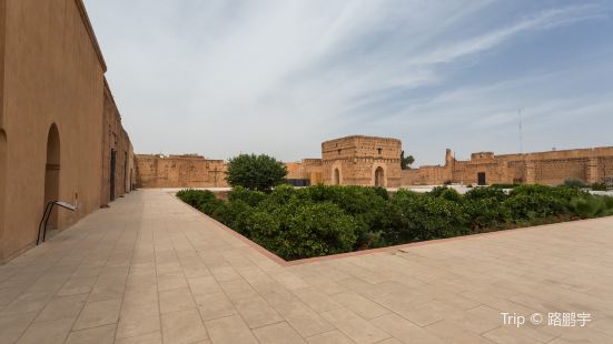 Palace Badi