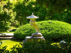 日本友谊庭园-圣何塞-doris圈圈