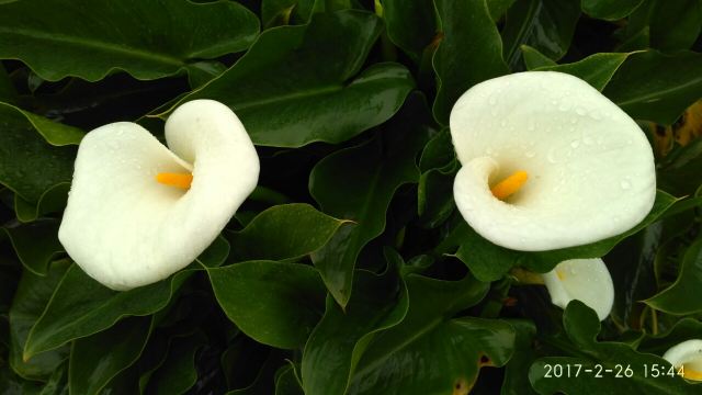 양명산 국립공원