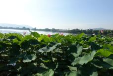 滨湖公园-徐州-无为-有为