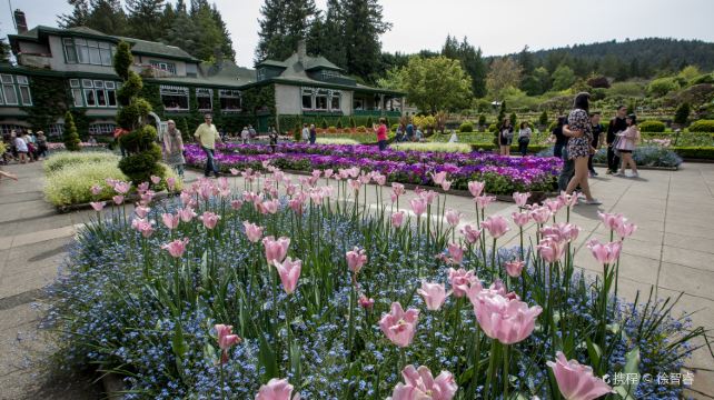 <8天>【半自由行·維多利亞·夏季落基山】·班夫國家公園+硫磺山纜車+四大名湖風采(露易絲湖、夢蓮湖、弓湖、變色湖)+溫哥華/威士拿自選日遊