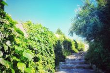 香山公园-北京-ruth68