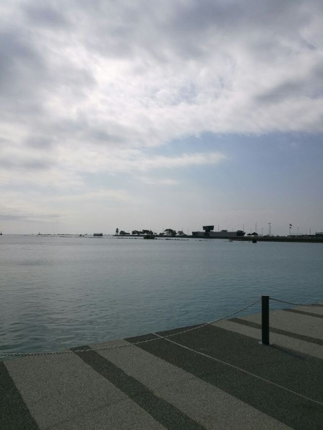 Navy Pier