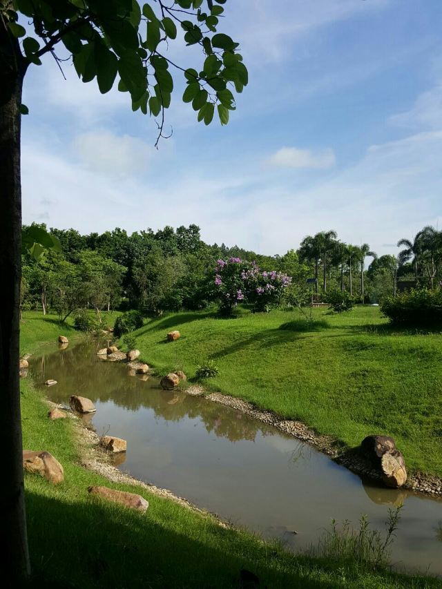Heyuan Imperial Palace Hotspring Resort
