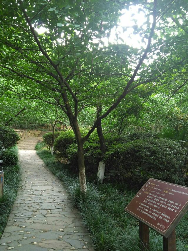 Baimajian Longchi Scenic Area