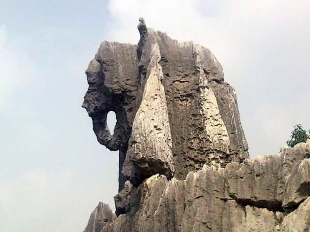 Stone Forest