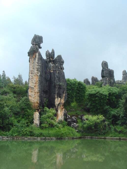 Stone Forest
