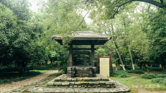 Yancheng Ruins Park