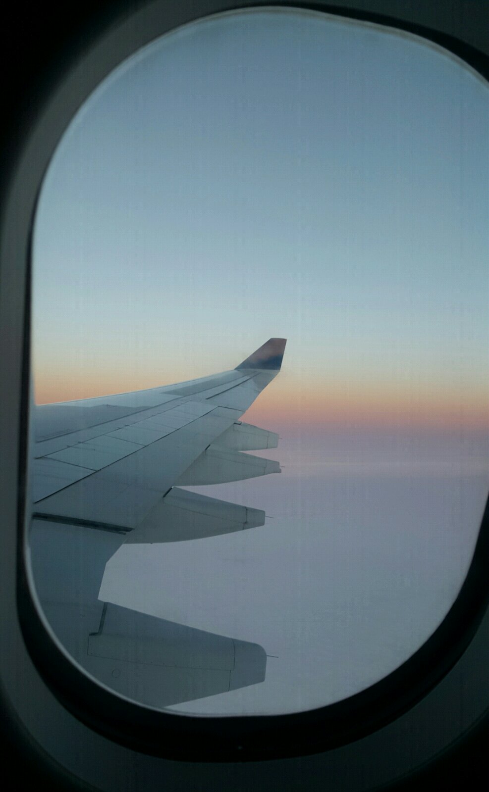 在飞机上看到北冰洋