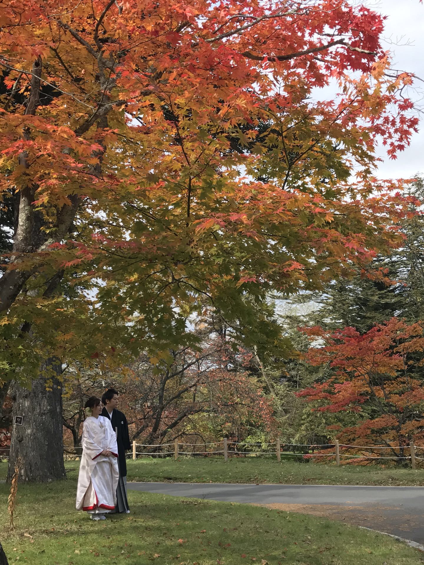 紅葉花嫁ー11月的軽井沢紅葉正当时