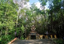 岗山国家森林公园景点图片