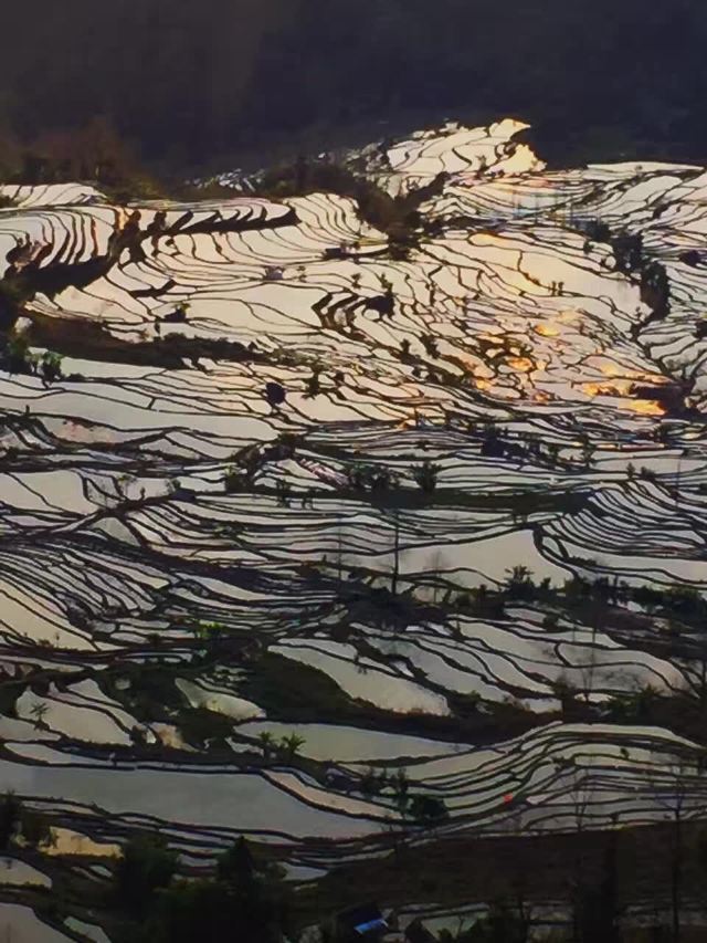 원양제전
