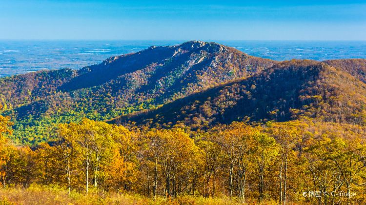 4-Day Summer Tour from New York · Luray Caverns, Great Smoky Mountains, New River Gorge and Shenandoah