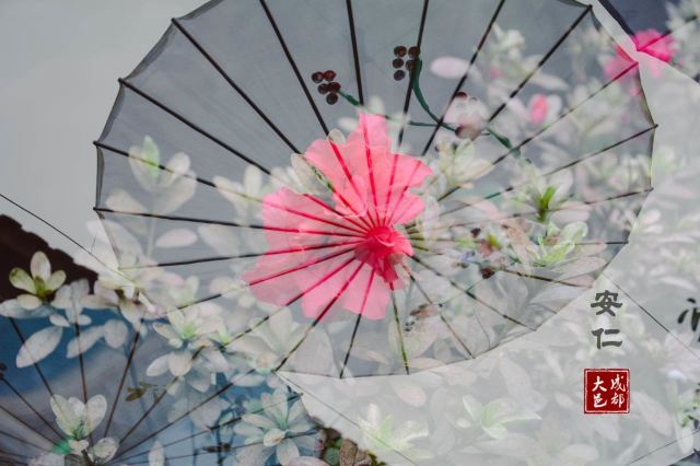 안인고진