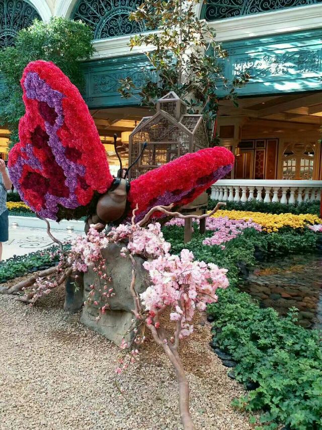Fountains of Bellagio