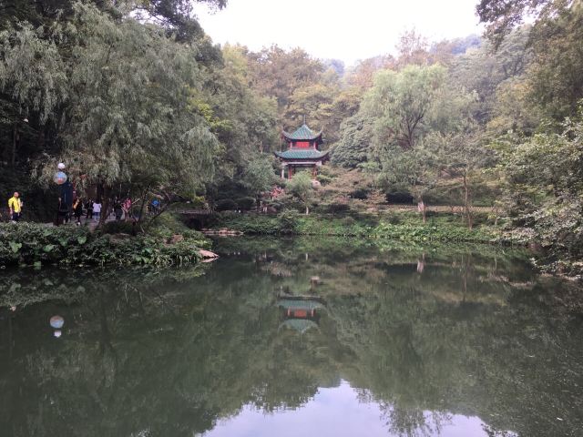 애완정