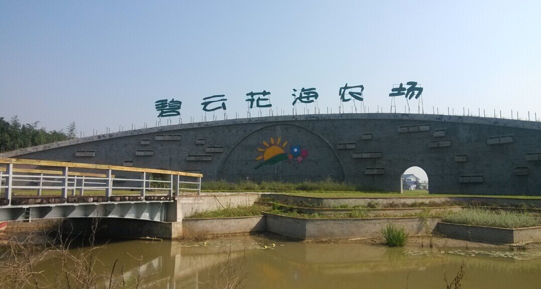 碧云花海农场