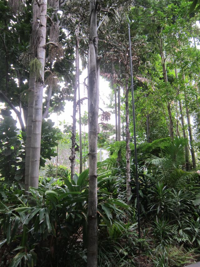 South Bank Parklands