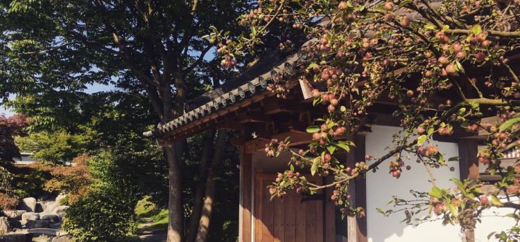 Eko Haus Der Japanischen Kultur E V Travel Guidebook Must Visit