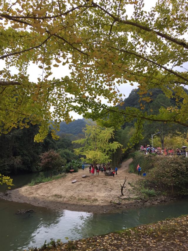 마오쯔펑 린창
